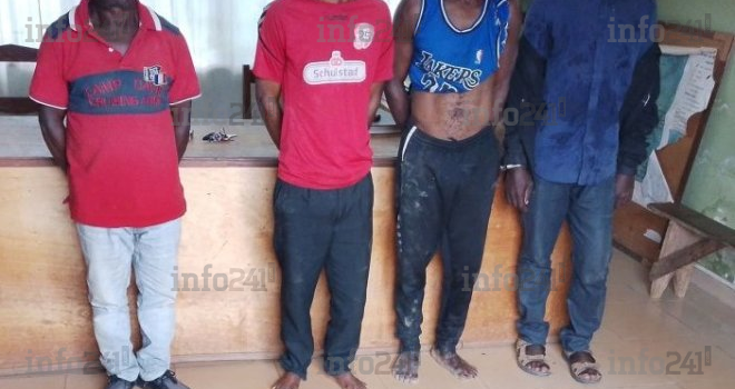 Gabon : 4 trafiquants d’ivoire dont un récidiviste, arrêtés avec 14 défenses d’éléphants à Makokou