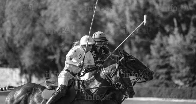 Parier sur les sports exotiques&nbsp;: ce qu’il faut savoir