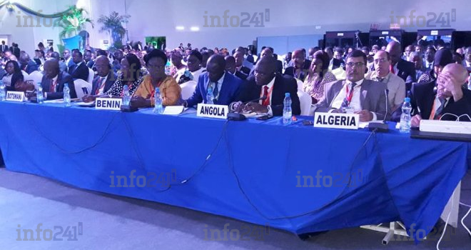 Les liens intersectoriels santé-environnement sont très faibles en Afrique, selon des experts