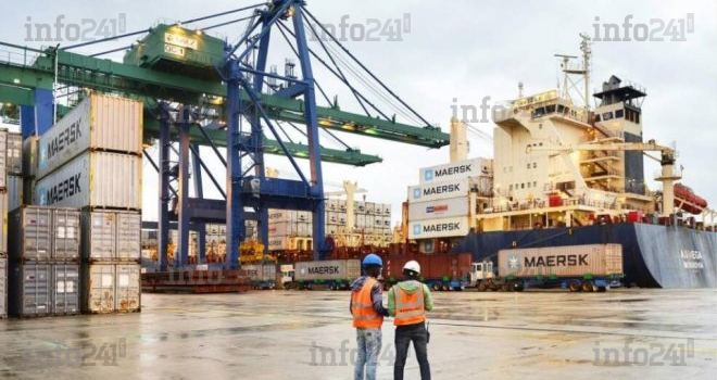 353 containers de bois en contrebande dérobés à la justice gabonaise au port d’Owendo&nbsp;!