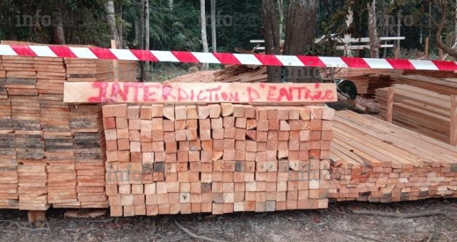 Lambaréné&nbsp;: Un élu local au cœur d’un scandale d’exploitation forestière illégale avec sa famille