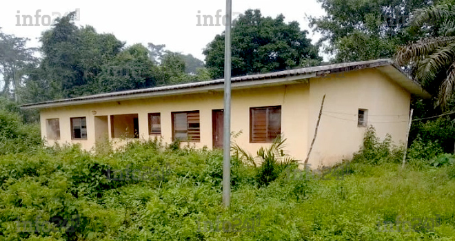 Gabon&nbsp;: Un dispensaire abandonné par son infirmier car hanté par de mystérieuses abeilles