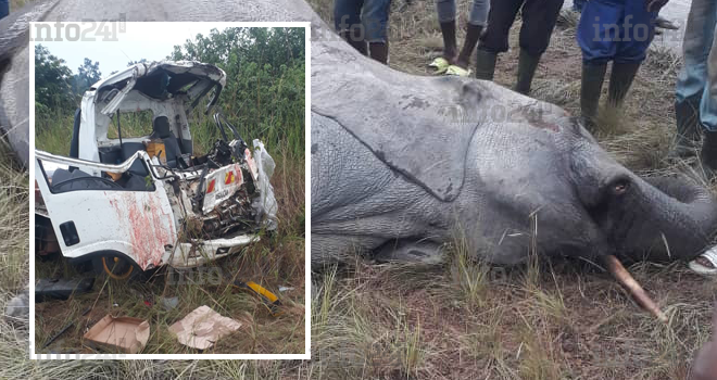 Guidouma&nbsp;: Deux morts dans une grave collision d’un véhicule avec un pachyderme