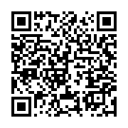 qrcode:https://info241.co/port-d-owendo-les-dockers-en-greve-depuis-plusieurs-jours,1295