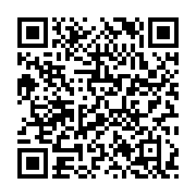 qrcode:https://info241.co/elections-2025-l-acer-pointe-un-chaos-electoral-et-veut-la,10966