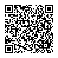 qrcode:https://info241.co/mayday-mayday-mayday-le-secteur-aerien-gabonais-ne-decolle-plus,2944