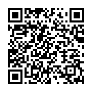 qrcode:https://info241.co/la-mobilisation-des-pro-ali-bongo-a-paris-tourne-au-fiasco,2220