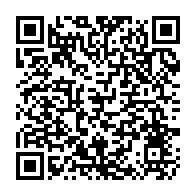 qrcode:https://info241.co/perspectives-economiques-en-afrique-2019-la-croissance-reste,4144