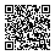 qrcode:https://info241.co/revivez-en-images-la-mobilisation-de-la-diaspora-gabonaise,2295