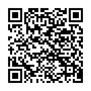 qrcode:https://info241.co/burkina-faso-une-manifestation-monstre-contre-la-revision,496