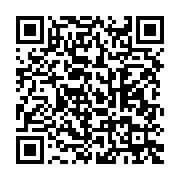qrcode:https://info241.co/rdc-vs-gabon-l-avion-des-pantheres-bloque-en-espagne-pour-un,6964