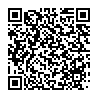 qrcode:https://info241.co/mouila-un-gorille-qui-y-semait-la-panique-finit-sa-course-dans,8551