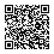 qrcode:https://info241.co/pk6-plusieurs-jeunes-braqueurs-arretes-a-libreville-apres-une,7047