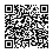 qrcode:https://info241.co/brice-laccruche-alihanga-boude-les-conditions-de-son,4833
