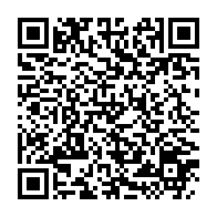 qrcode:https://info241.co/les-gilets-jaunes-ont-de-nouveau-impose-un-samedi-noir-en-france,4054