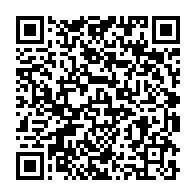 qrcode:https://info241.co/pantheres-du-gabon-boupendza-et-allevinah-deux-cracks-qui-font,6549