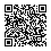 qrcode:https://info241.co/mitzic-un-pretre-braconnier-echappe-a-son-incarceration,1029