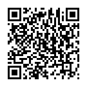 qrcode:https://info241.co/ping-nzouba-ndama-et-oye-mba-unis-contre-ali-bongo-pour-la,2117
