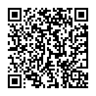 qrcode:https://info241.co/centrafrique-un-diplomate-russe-vise-par-un-attentat-terroriste,1580