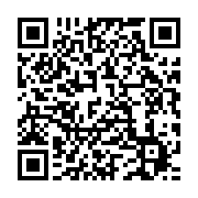 qrcode:https://info241.co/niger-la-france-accuse-d-avoir-mene-une-attaque-et-libere-des,8114