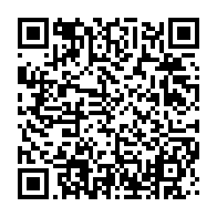 qrcode:https://info241.co/pour-le-ministre-de-la-defense-les-bavures-policieres-au-gabon,5715