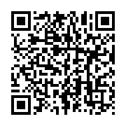 qrcode:https://info241.co/guerre-russe-en-ukraine-sept-pays-africains-veulent-regler-la,1766