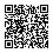 qrcode:https://info241.co/niger-27-morts-a-toumour-dans-une-attaque-terroriste-de-boko,612