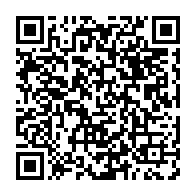 qrcode:https://info241.co/affaire-me-irenee-mezui-sogara-sodexo-les-3-hommes-de-loi-fixes,7273