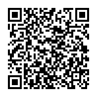 qrcode:https://info241.co/niger-l-allemagne-evacue-son-ambassade-a-niamey-et-appelle-ses,2754