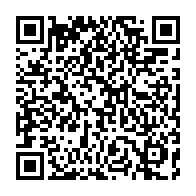 qrcode:https://info241.co/comment-les-machines-a-sous-ont-appris-a-vivre-dans-nos-poches-l,10804