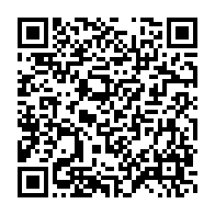 qrcode:https://info241.co/france-un-fils-d-omar-bongo-se-fait-conduire-par-une-diplomate,193