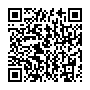 qrcode:https://info241.co/ble-goude-sera-bien-poursuivi-par-la-cpi-pour-crimes-contre-l,634