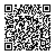 qrcode:https://info241.co/exil-dore-des-bongo-l-union-africaine-eternel-syndicat-des-chefs,10381