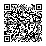 qrcode:https://info241.co/libre-circulation-en-zone-cemac-des-concertations-a-libreville,113