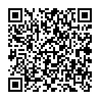 qrcode:https://info241.co/des-internautes-demontent-les-mensonges-de-brice-laccruche-sur,4422