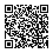 qrcode:https://info241.co/france-le-pdg-du-groupe-total-tue-dans-un-accident-d-avion-a,475