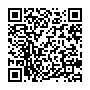 qrcode:https://info241.co/nigeria-les-autorites-negocient-avec-des-bandits-ayant-enleve,2009