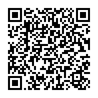 qrcode:https://info241.co/presidentielle-2025-chaning-zenaba-gnigna-defie-la-cnocer-et,2330