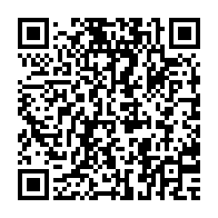 qrcode:https://info241.co/port-gentil-un-taxi-prend-feu-en-pleine-circulation-obligeant,11450