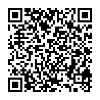qrcode:https://info241.co/a-l-abandon-la-foire-municipale-de-port-gentil-plongee-dans-un,7167