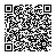 qrcode:https://info241.co/mal-conseille-bricolage-constitutionnel-onanga-y-obegue-allume,11362
