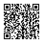 qrcode:https://info241.co/moyen-orient-la-cedeao-s-alarme-des-retombees-de-l-offensive,2731